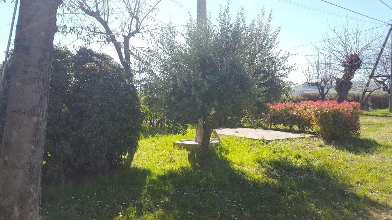 Casa Selene Rocchi Alloggio per agriturismo *